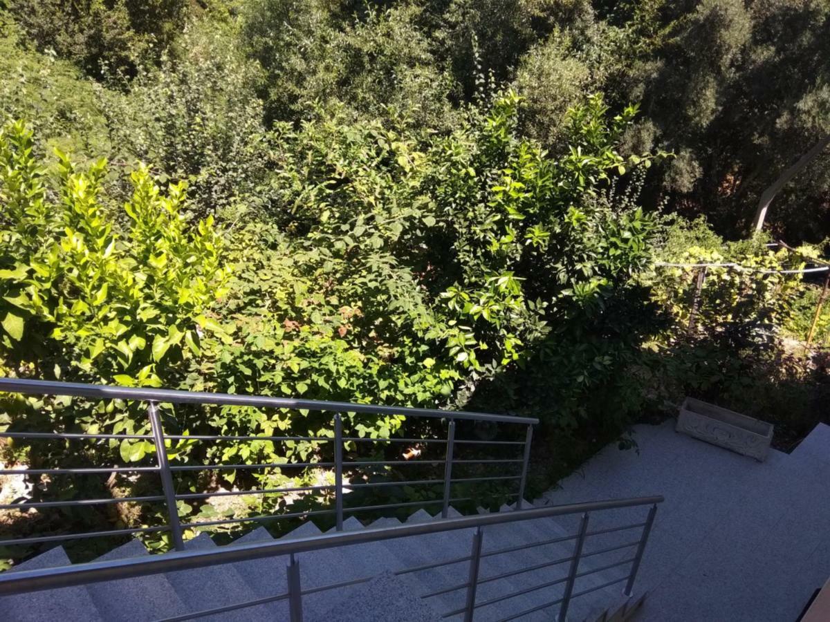 Casas Do Caminho Velho Lägenhet Ribeira de Pena Exteriör bild